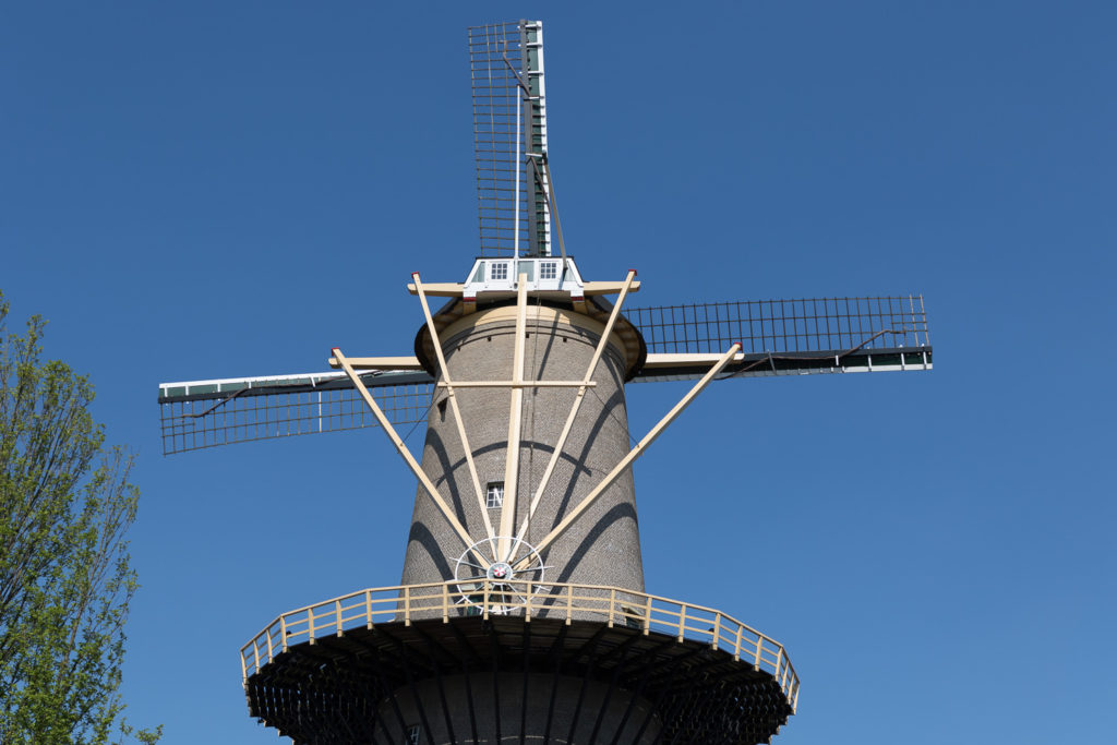 molen de palmboom schiedam